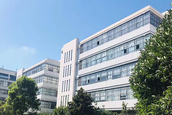 Company Profile